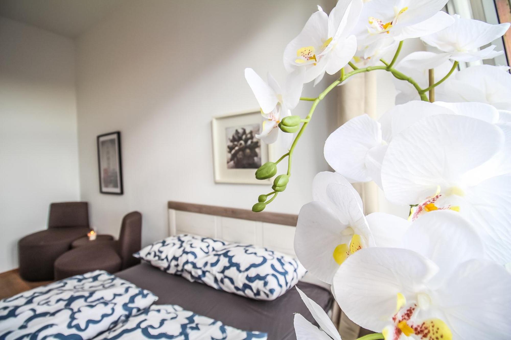 Disc Cozy Rooms In Liesing Vienna Esterno foto